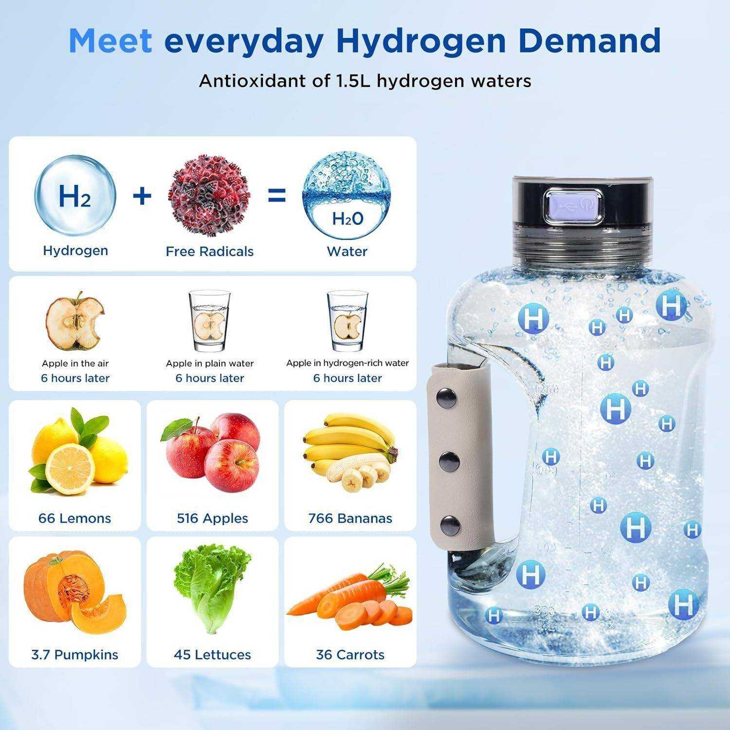 Rich Hydrogen Water Bottle